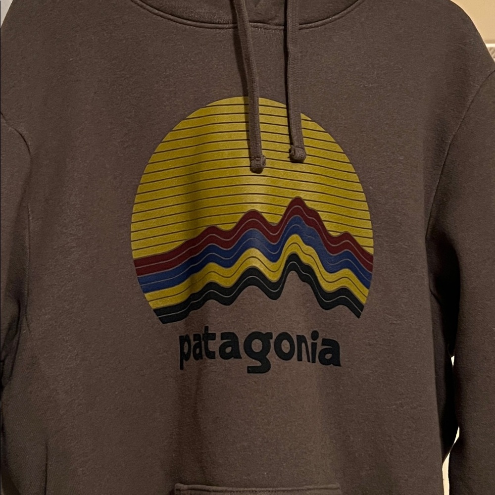 Patagonia Women’s Medium Men’s Small Olive Hoodie